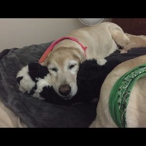 Meet your Posher, Lori